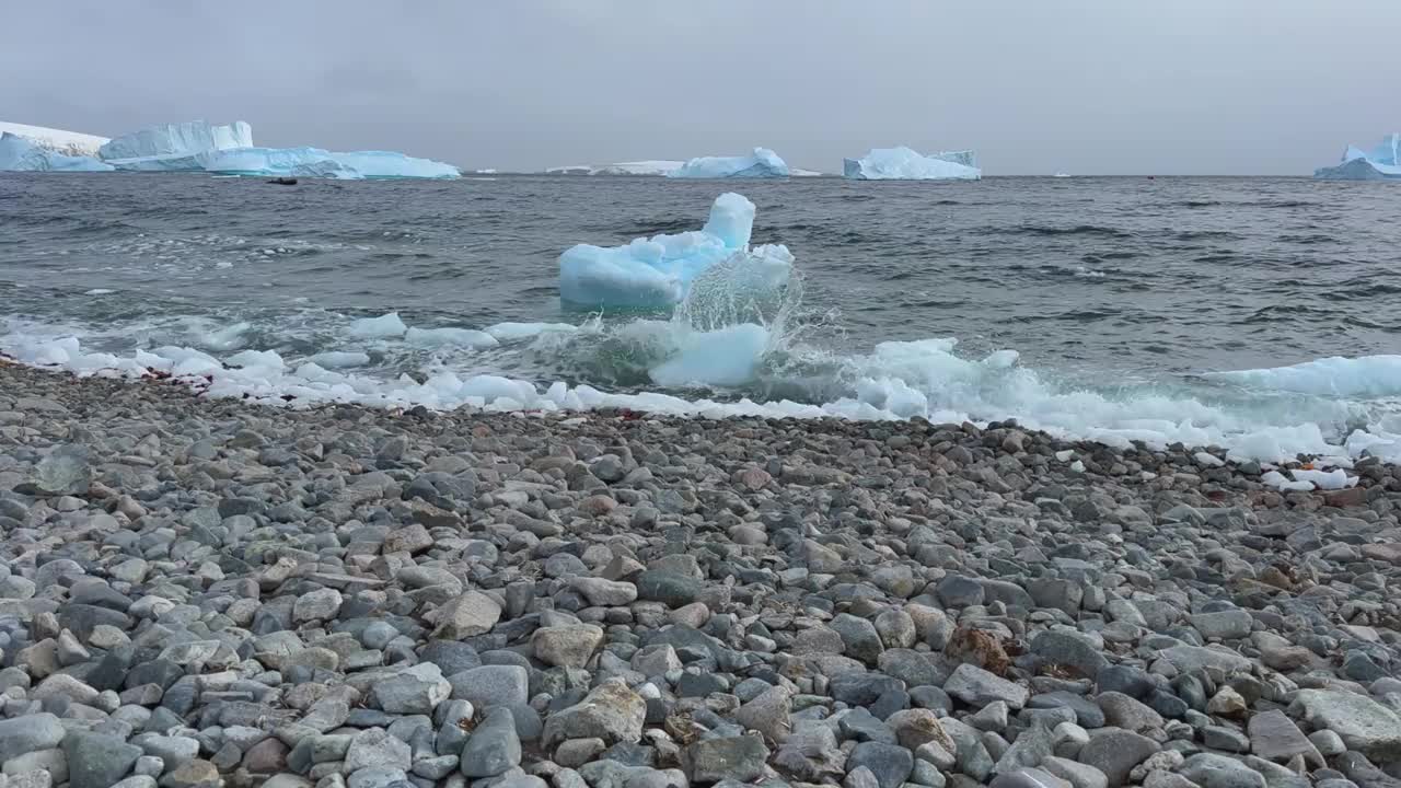 南极洲的岩石海滩。冰川和冰山。视频下载