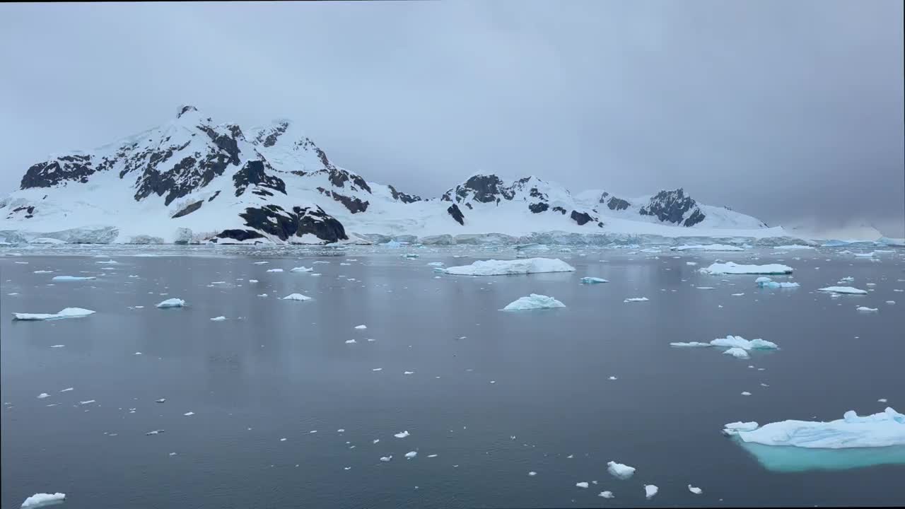 南极海船经过冰川和浮冰视频素材