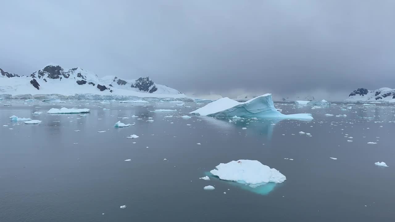 南极海船经过冰川和浮冰视频下载