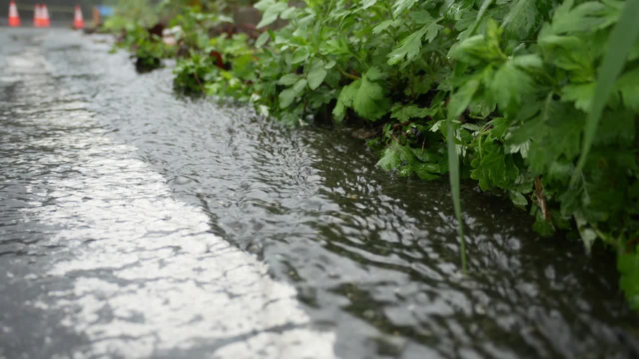 山里的雨天视频下载