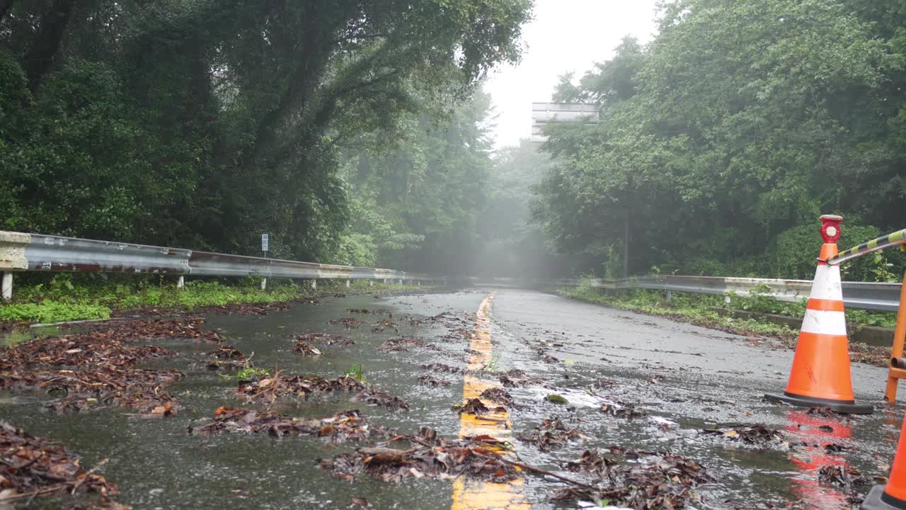 下雨天，山上的树叶和雾气视频下载