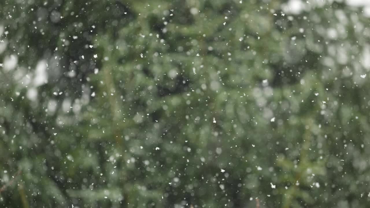 美丽的冬季雪景。迷人的冬天在森林里，雪落在树上。降雪背景下的松树枝。雪花飘落的慢动作冬季景观。视频素材