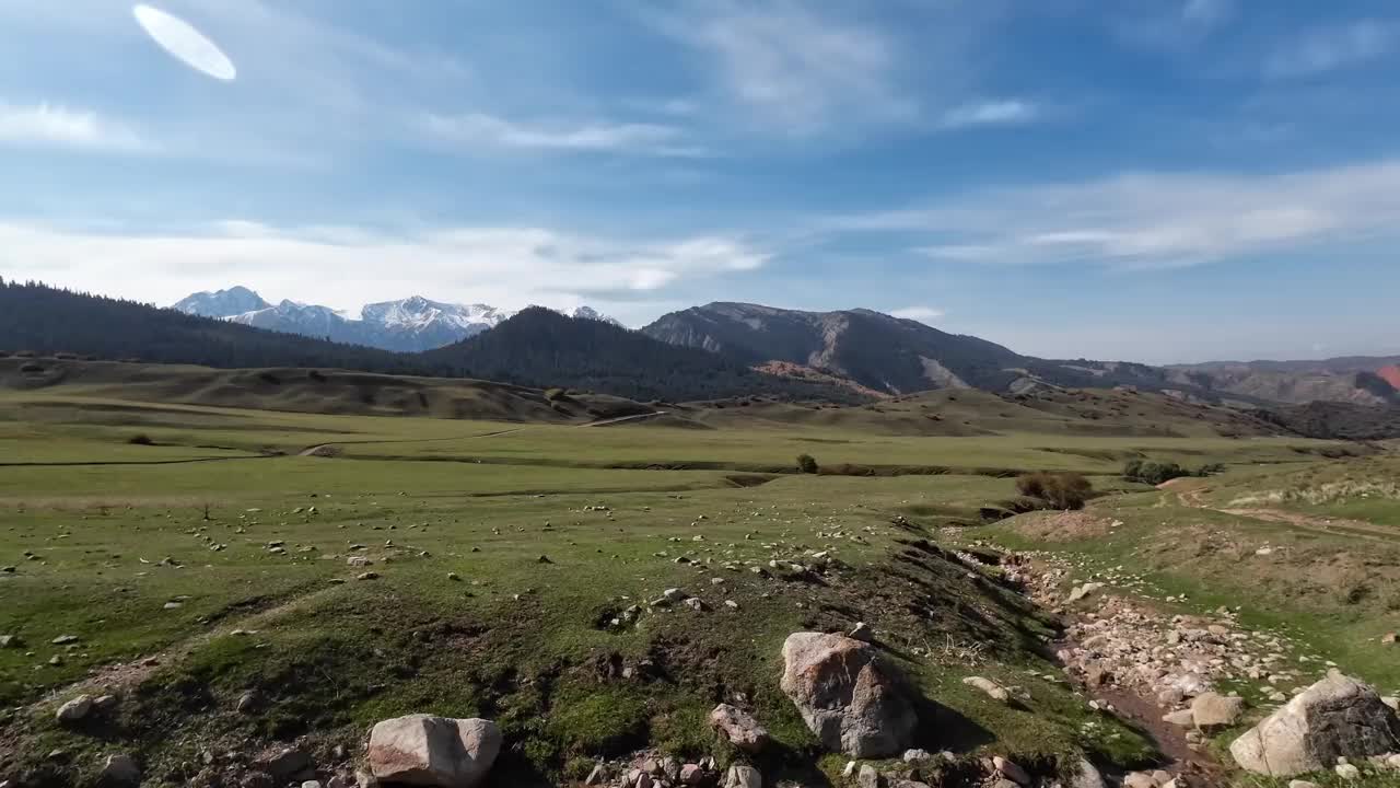 绿色山谷的广角镜头，背景是白雪皑皑的山脉视频素材