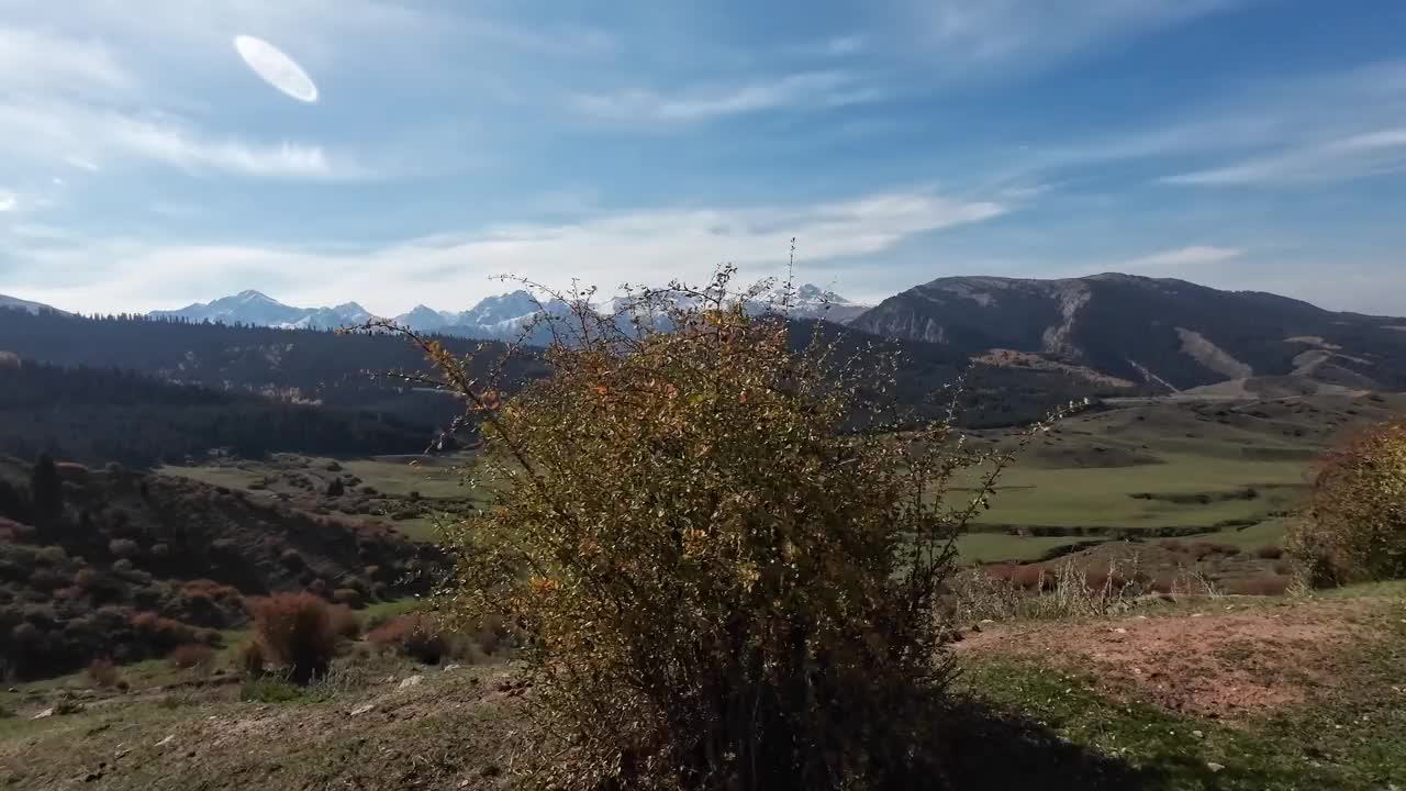 秋天，高山间绿谷的美景视频素材