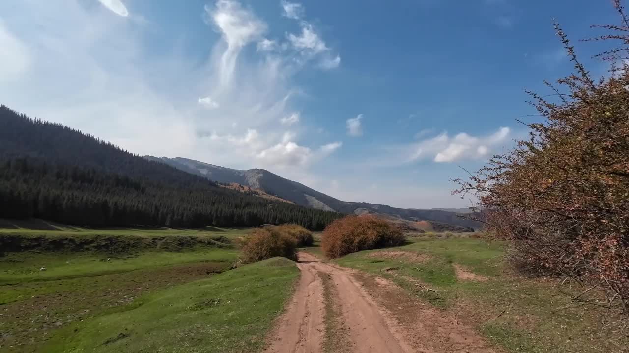 穿过被灌木和云杉林覆盖的秋天山谷视频素材