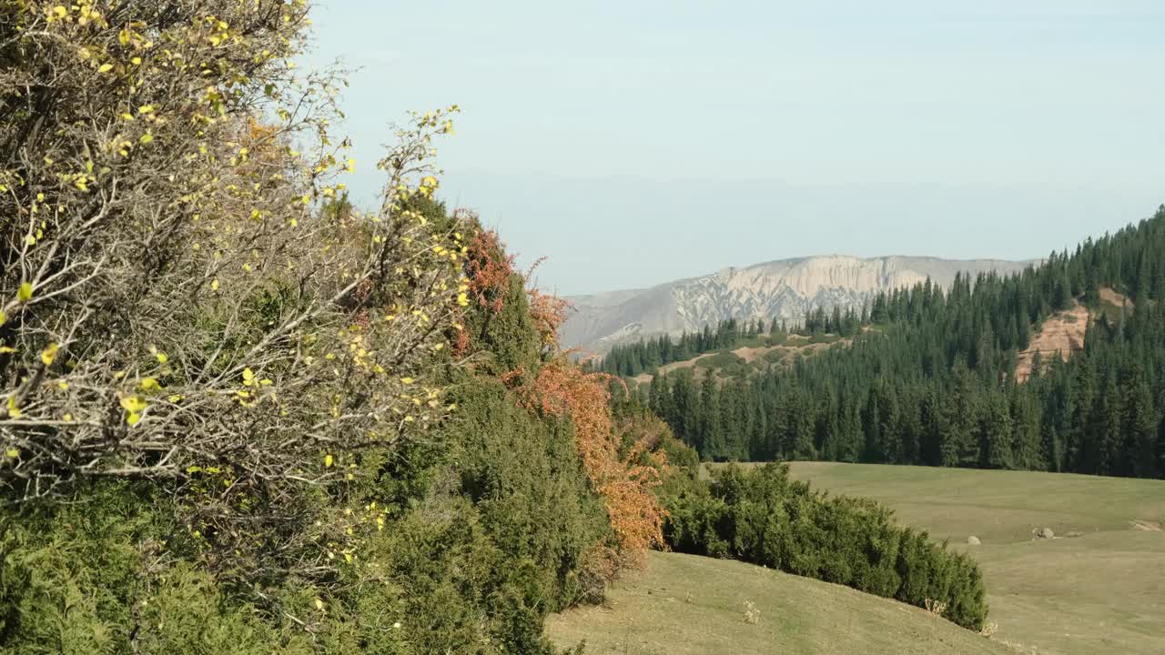 秋天，高山间绿谷的美景视频素材