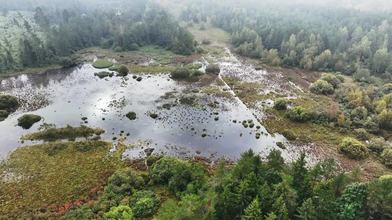 从空中静态拍摄的湿地，在秋天迁徙到南方之前，普通鹤(Grus Grus)在这里停下来。萨拉马,爱沙尼亚。视频素材