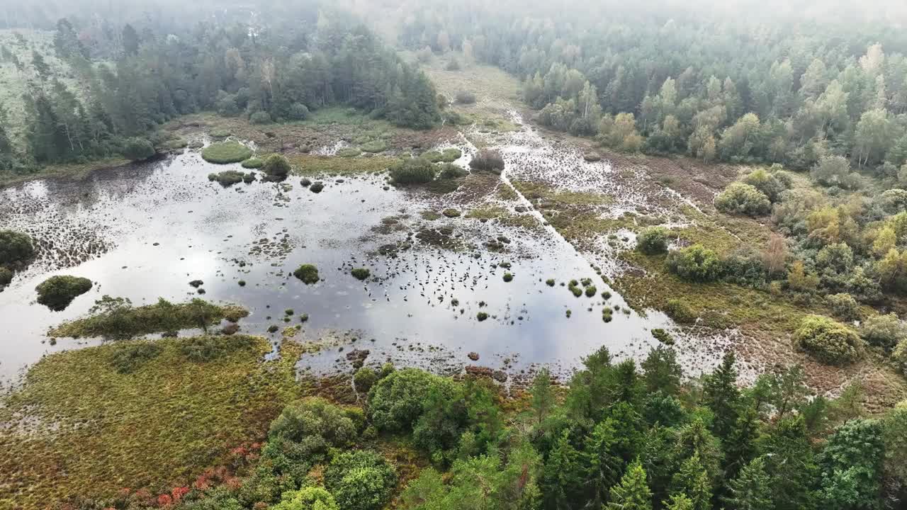 从空中俯瞰湿地，这里是秋鹤(Grus Grus)向南迁徙前停下来的地方。萨拉马,爱沙尼亚。视频素材