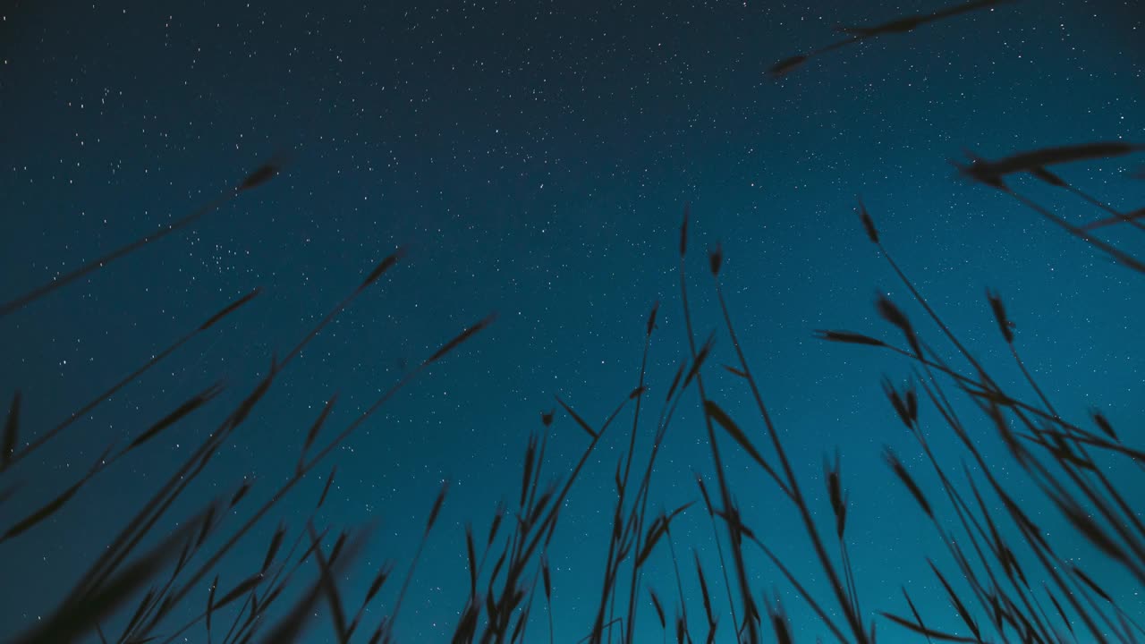 旋转天空中的星星背景。在夏季农业季节，小麦芽上方的星星的4k延时旋转轨迹。夜空繁星闪烁的银河和流星的轨迹在年轻的大麦芽田。延时，延时，延时视频素材