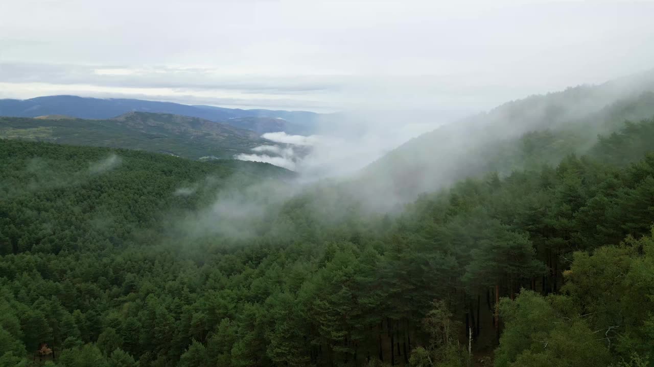 马德里瓜达拉马山森林上空的低云。视频素材