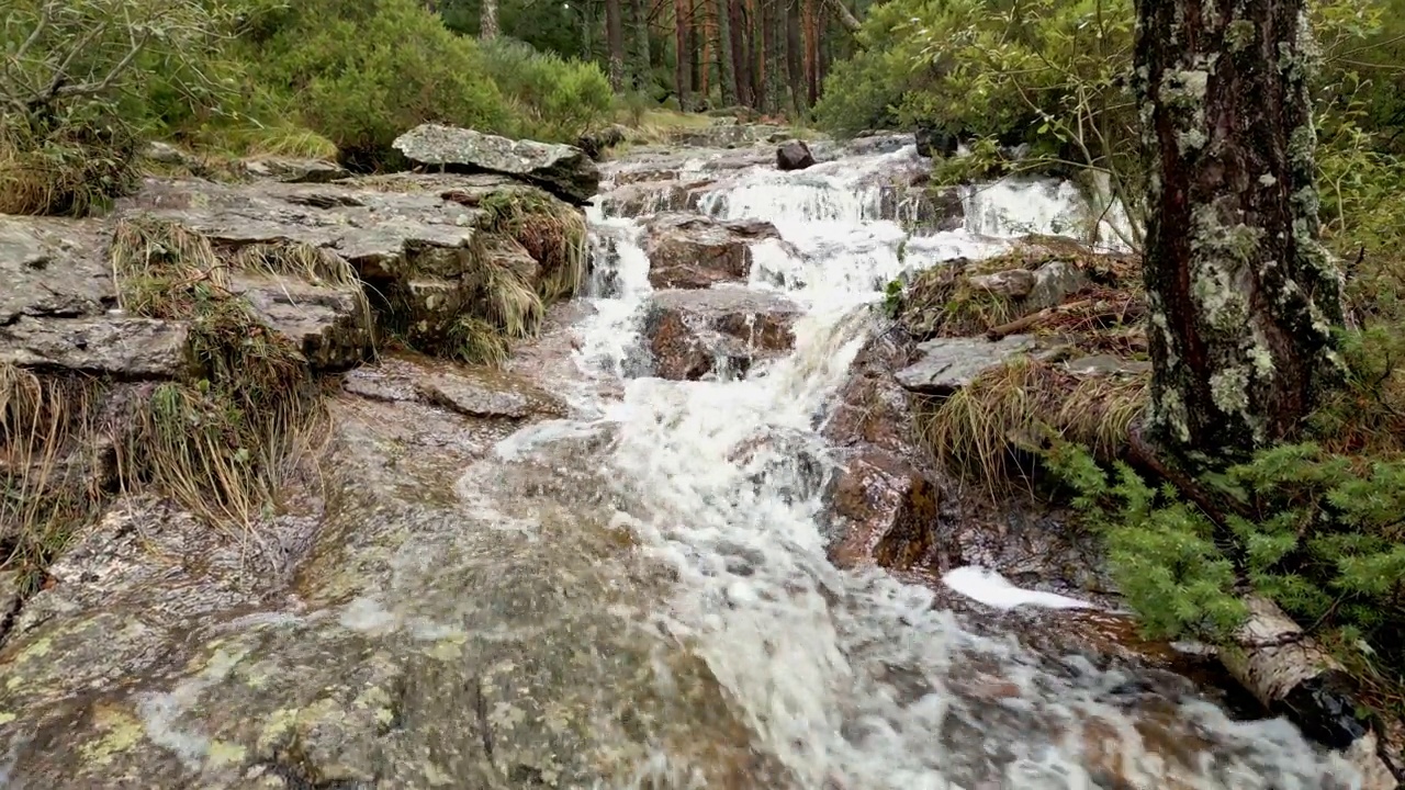 在马德里瓜达拉马山的地中海松林中形成小瀑布的河流。视频素材