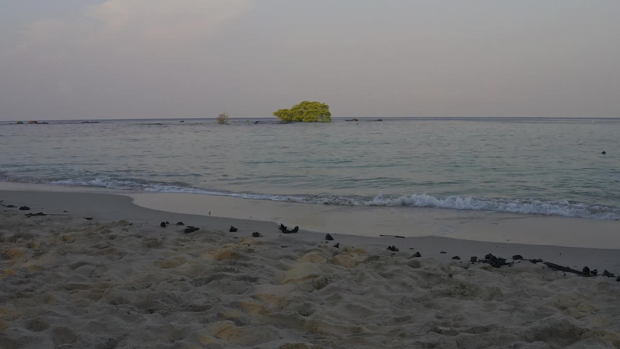 在泰国的古德岛，海水正在退去视频素材