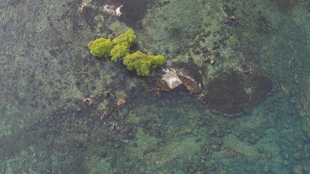 俯视图热带海滩海的树在Koh good岛，泰国视频素材