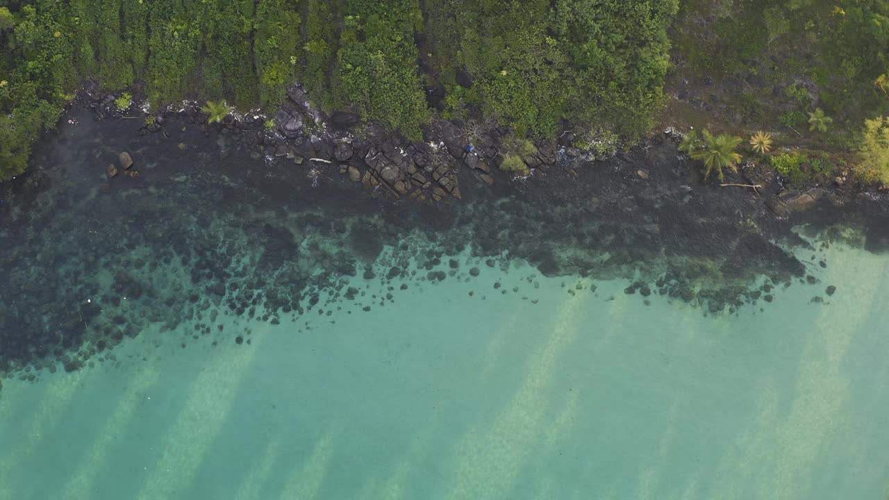 泰国古德岛的树木风景视频素材