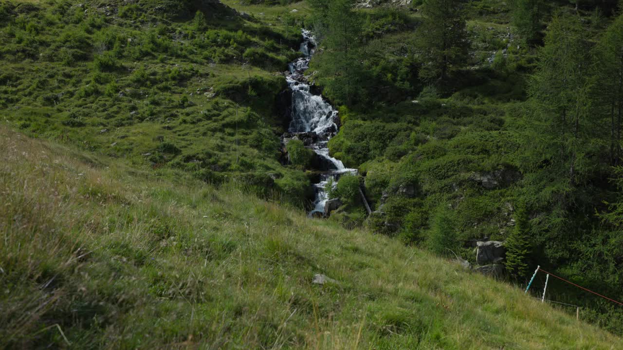 田园诗般的倾斜视图流动的河流在草地中间与针叶树和山的背景。Valmalenco,意大利。视频素材