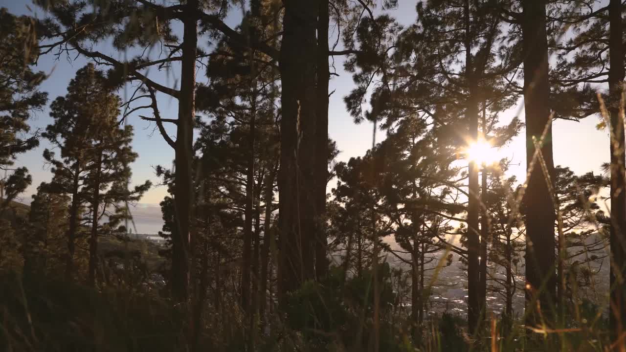 日出视频在开普敦城市碗和桌山。视频素材