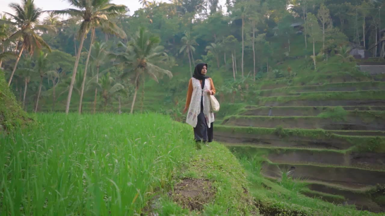 戴着头巾和白色外衣的女性走在水稻梯田堤岸上。在早晨欣赏风景。视频下载