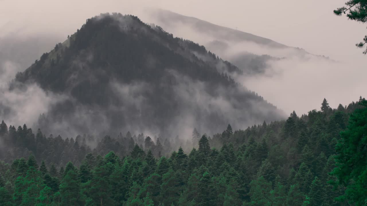 时间流逝的雨云围绕着被森林覆盖的山视频素材