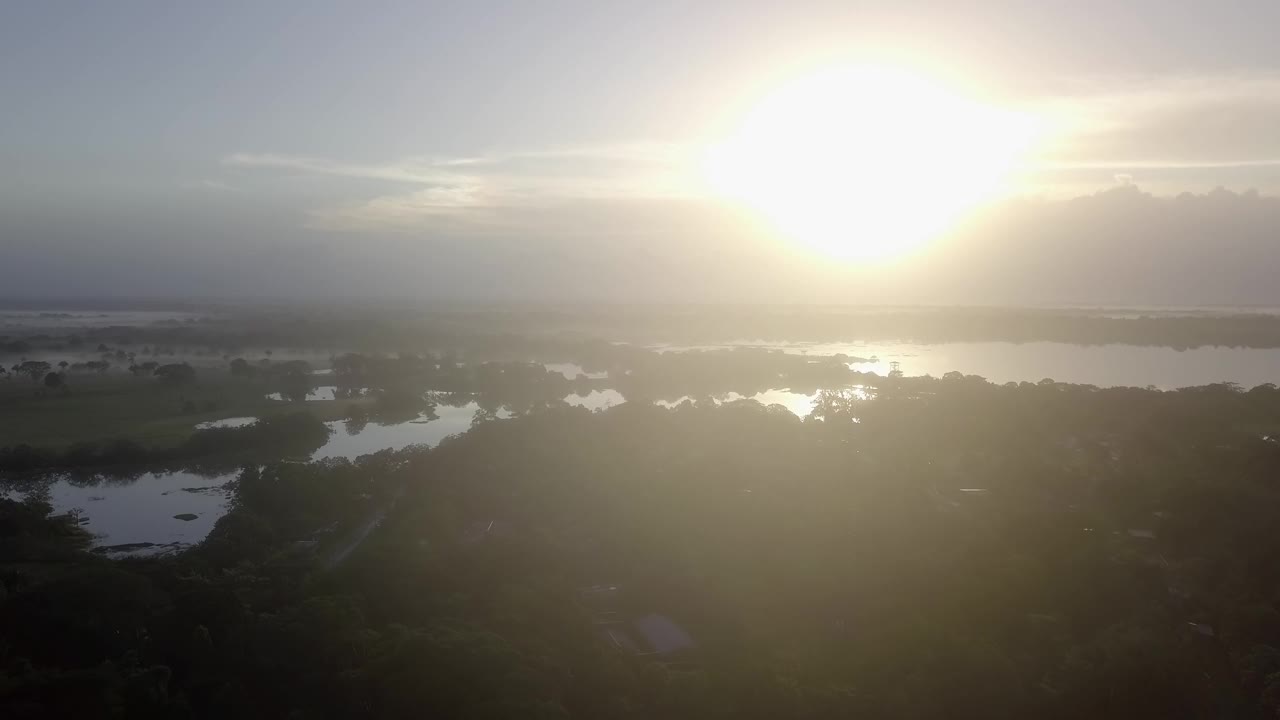 清晨日出的空中景观雨林在维达西尔韦斯特卡诺内格罗，哥斯达黎加荒野视频下载