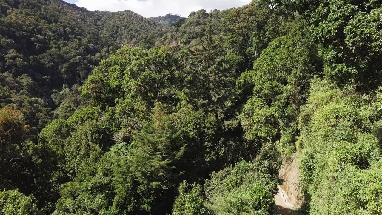 美丽的山景和热带雨林周围的圣热拉尔多多塔在雾中，美丽的哥斯达黎加荒野景观视频下载