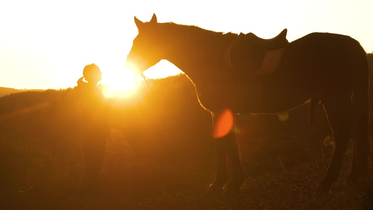 剪影，镜头光晕:金色的阳光在年轻女士和她的马之间闪耀视频素材