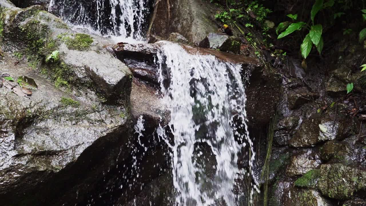 位于南美洲厄瓜多尔安第斯山脉巴诺斯圣阿瓜附近的El Pailon del Diablo壮观瀑布旁的雨林。视频素材