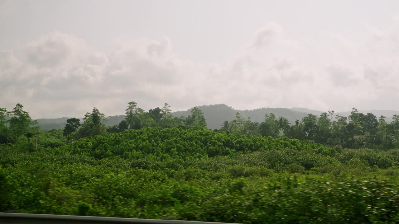 汽车侧窗可以看到绿油油的椰子林、水稻梯田种植。火车，在热带岛屿的自驾游背景。旅游车旅游观光的风景。开车经过乡村。视频素材