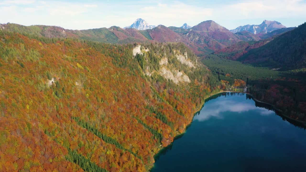 美丽的奥地利秋天，朗巴斯湖岸边有五颜六色的红树视频素材