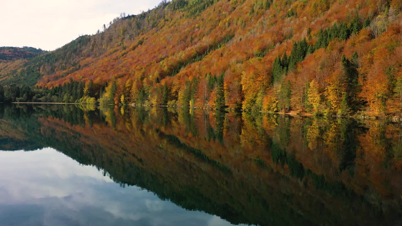 美丽的奥地利秋天，朗巴斯湖岸边有五颜六色的红树视频下载