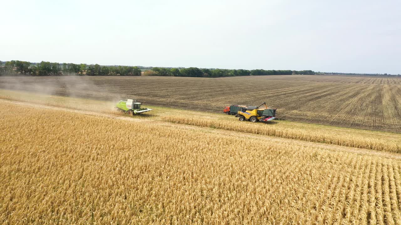 联合收割机在田间收割玉米的航拍画面视频下载