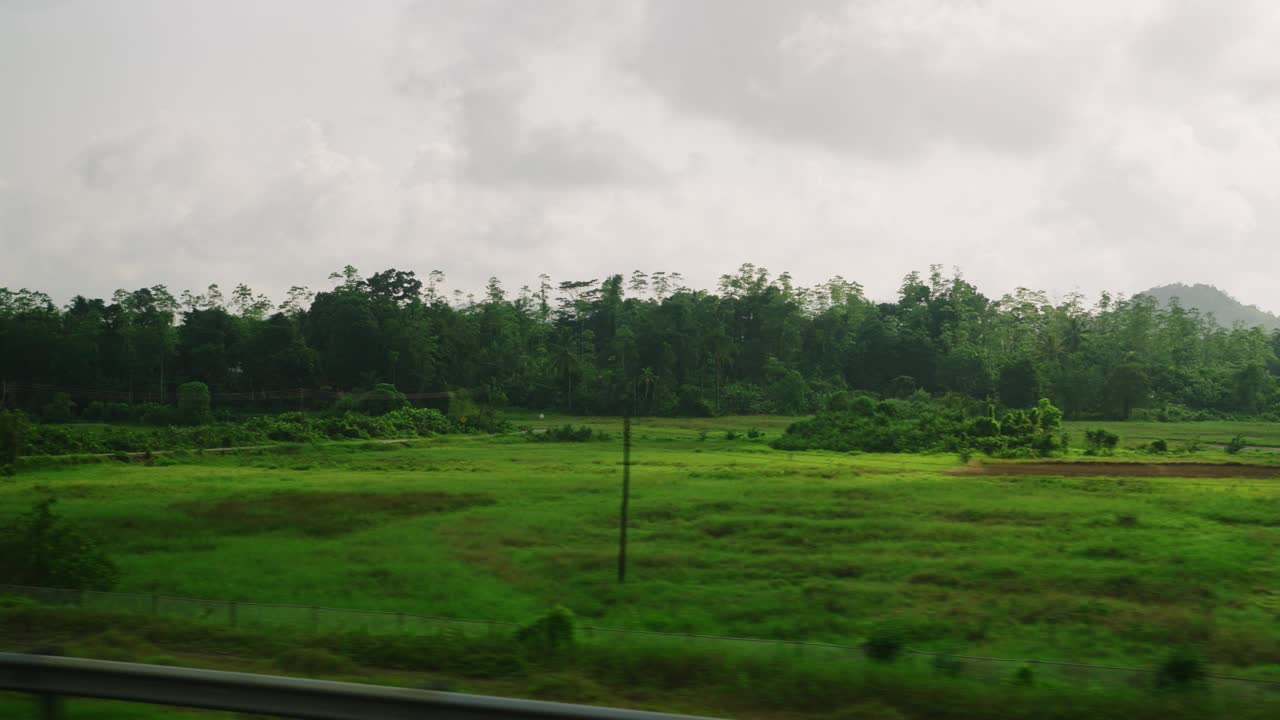 汽车侧窗可以看到绿油油的椰子林、梯田种植的稻田。火车，公路旅行的热带背景。旅游车旅游观光的风景。开车经过乡村。视频素材