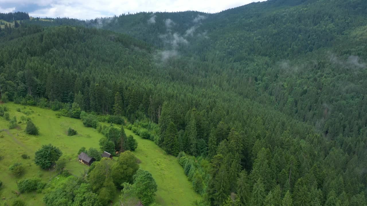 飞过美丽的山谷和多云的傍晚松林视频下载