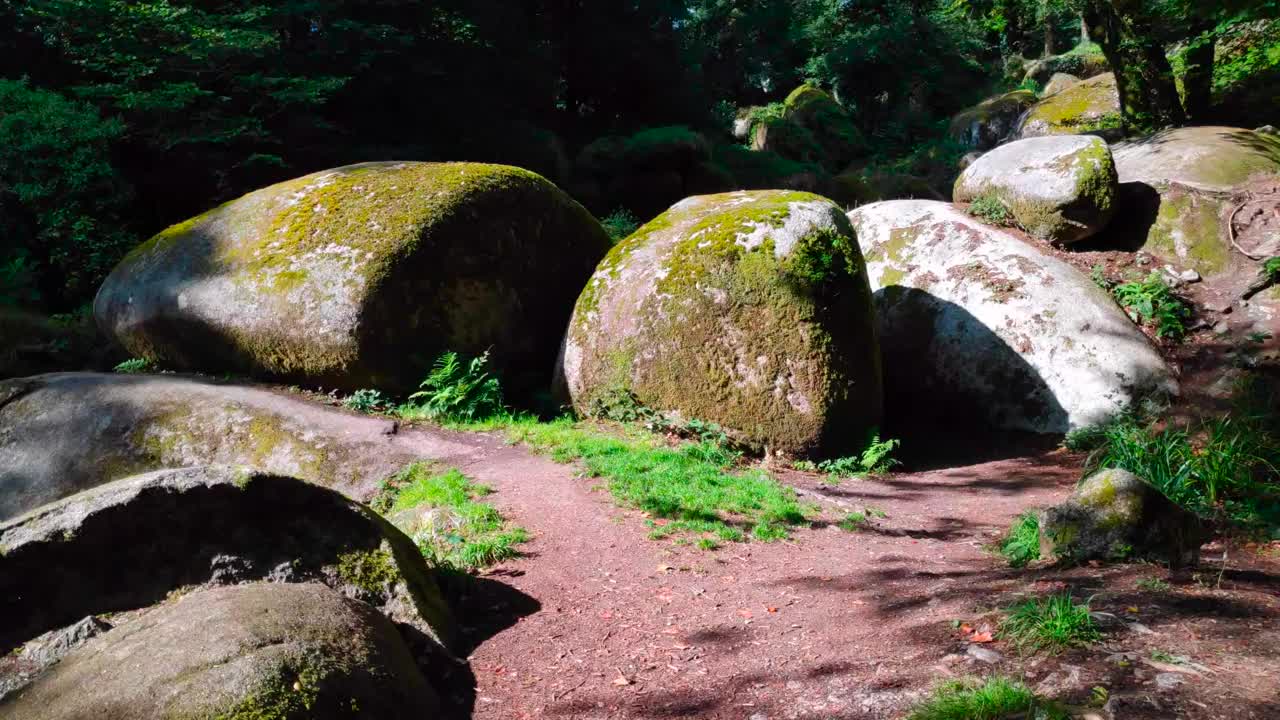 布莱克菲尔德在韦尔山羊森林里视频下载