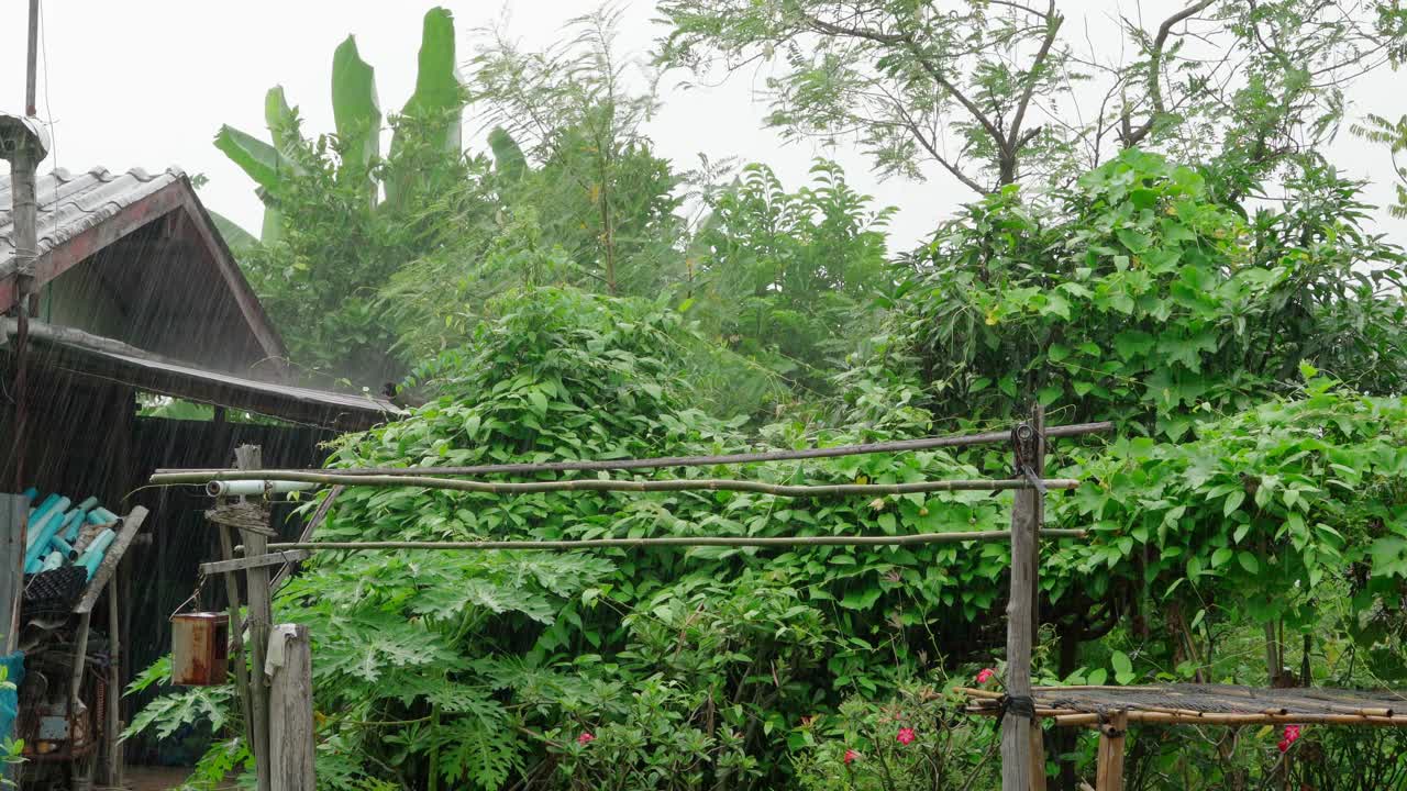 在乡下花园的房子里，天正在下雨，天空阴沉沉的。房子周围有绿树视频下载