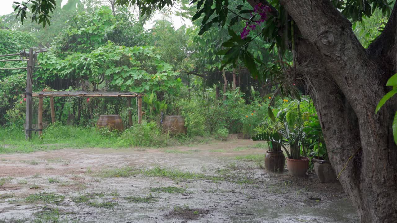 在乡下花园的房子里，天正在下雨，天空阴沉沉的。房子周围有绿树视频下载