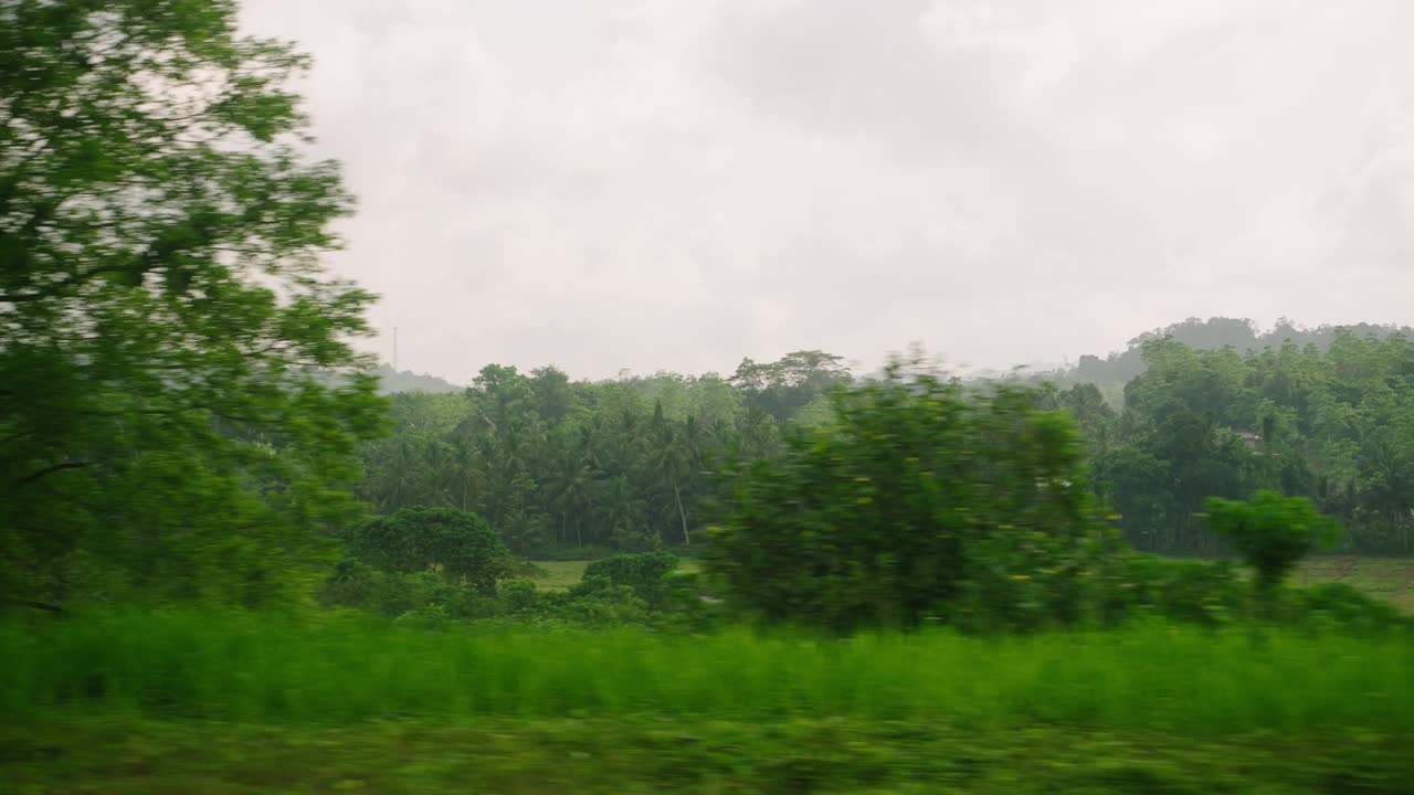 汽车侧窗可以看到绿油油的椰子林、梯田种植的稻田。火车，公路旅行的热带背景。旅游车旅游观光的风景。开车经过乡村。视频素材