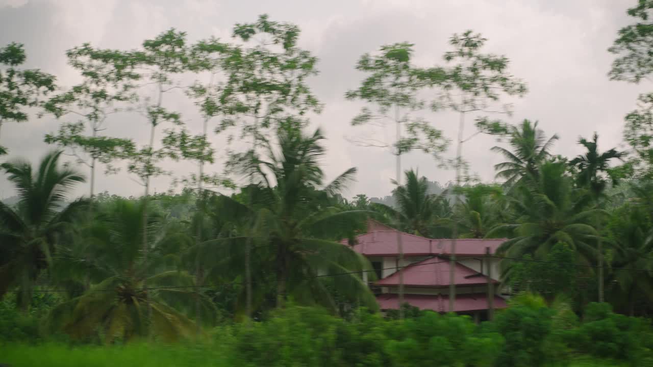 汽车侧窗可以看到绿油油的椰子林、梯田种植的稻田。火车，公路旅行的热带背景。旅游车旅游观光的风景。开车经过乡村。视频素材