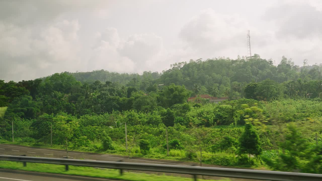 汽车侧窗可以看到绿油油的椰子林、梯田种植的稻田。火车，公路旅行的热带背景。旅游车旅游观光的风景。开车经过乡村。视频素材