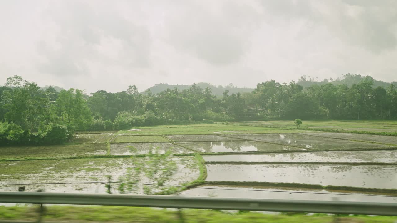 汽车侧窗可以看到绿油油的椰子林、梯田种植的稻田。火车，公路旅行的热带背景。旅游车旅游观光的风景。开车经过乡村。视频素材