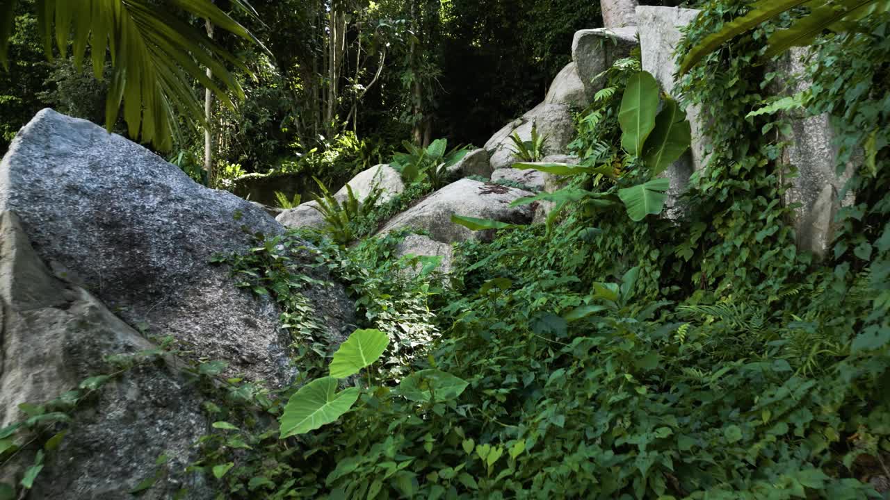 地质遗产，地质保护，地质旅游，独特，花岗岩，地貌，苏梅岛，丛林，景观，未受破坏的，热带，景观视频素材