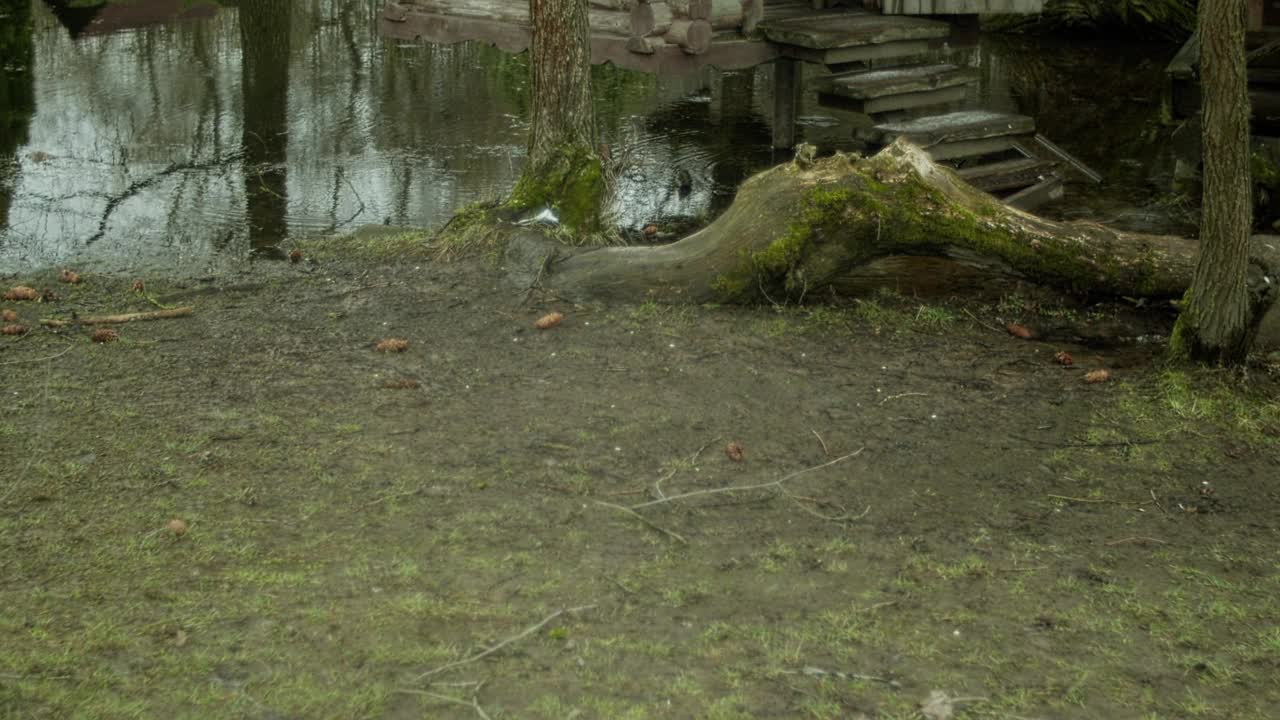 湖边的老茅屋视频素材