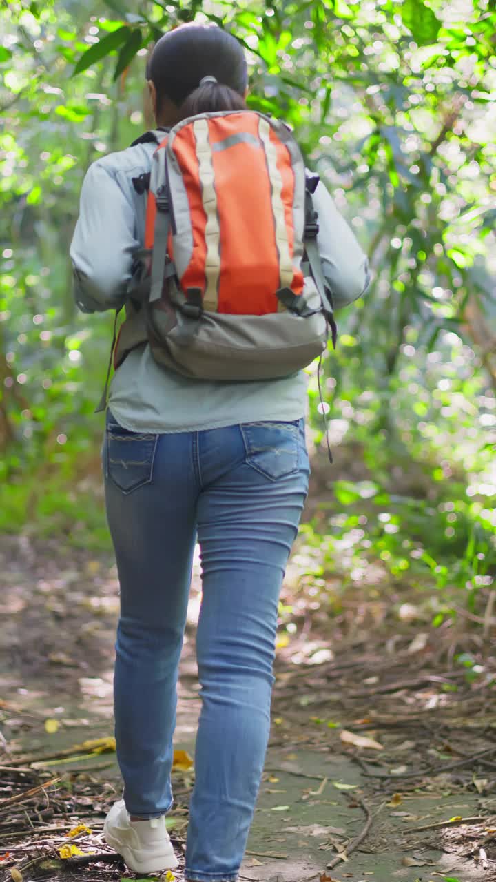 在山上徒步旅行的亚洲妇女视频素材