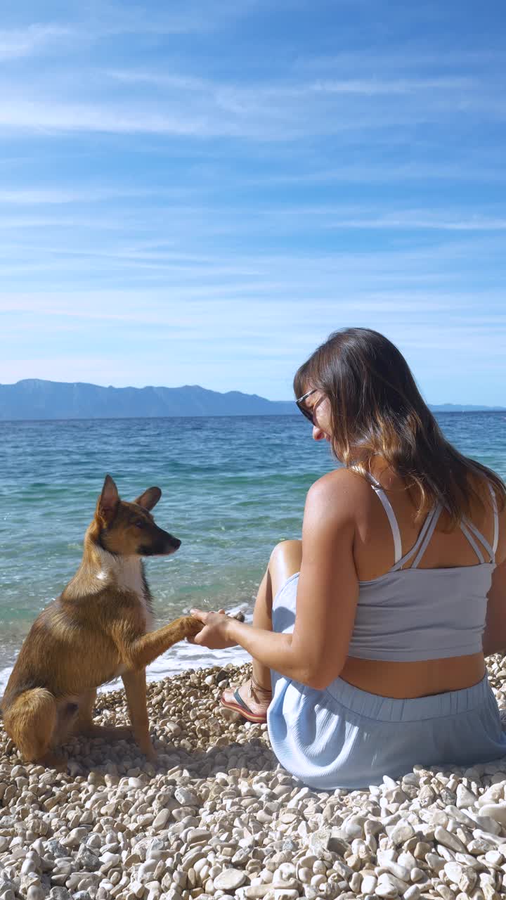 特写:当他们坐在美丽的海滩上时，一只听话的狗给了它的主人一个爪子视频素材