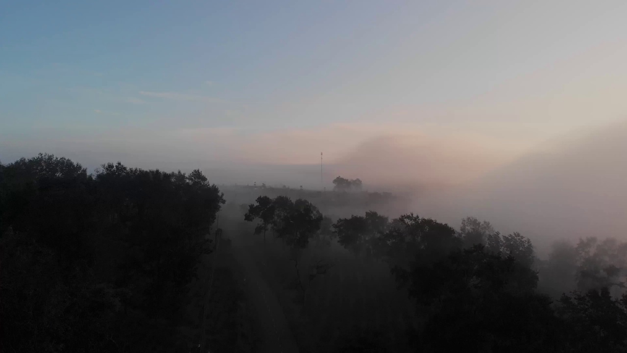 在越南林东的林下，晨雾就像一条白色的小溪流过咖啡山视频素材