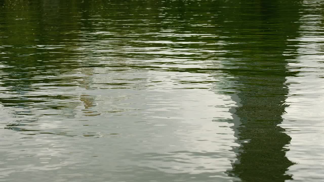 雨后湖面小水波的特写和前方选定的焦点。风水舞。视频素材