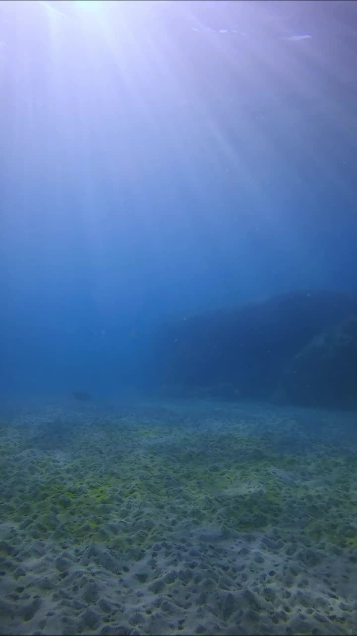 明亮的阳光在蓝色的海水与太阳眩光落在海底在晚上的时间视频素材