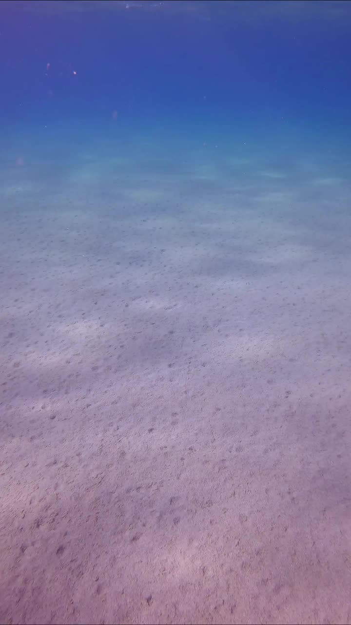 阳光照射在沙质海床上，相机在蓝色的海水背景下向前移动视频素材