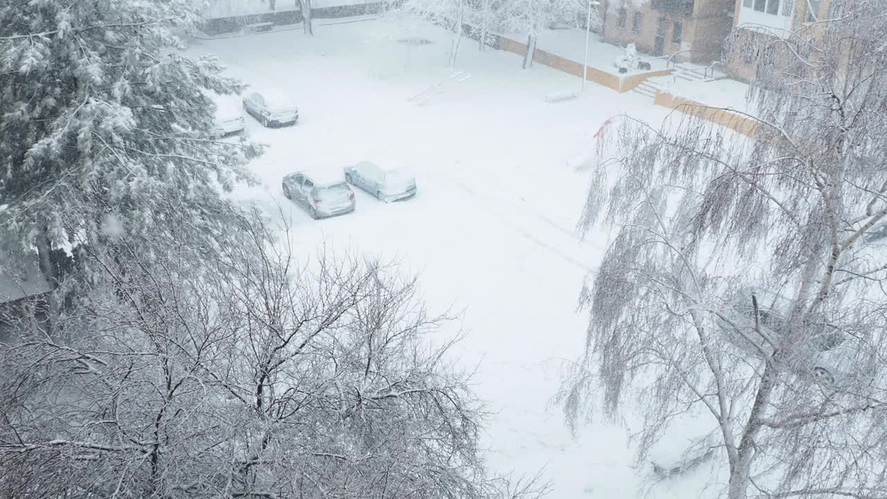 巴尔干半岛的暴风雪。城市街道和庭院出现大雪和大风。白雪覆盖的道路。巨大的白色雪花盘旋着。树枝在摇摆。视频素材