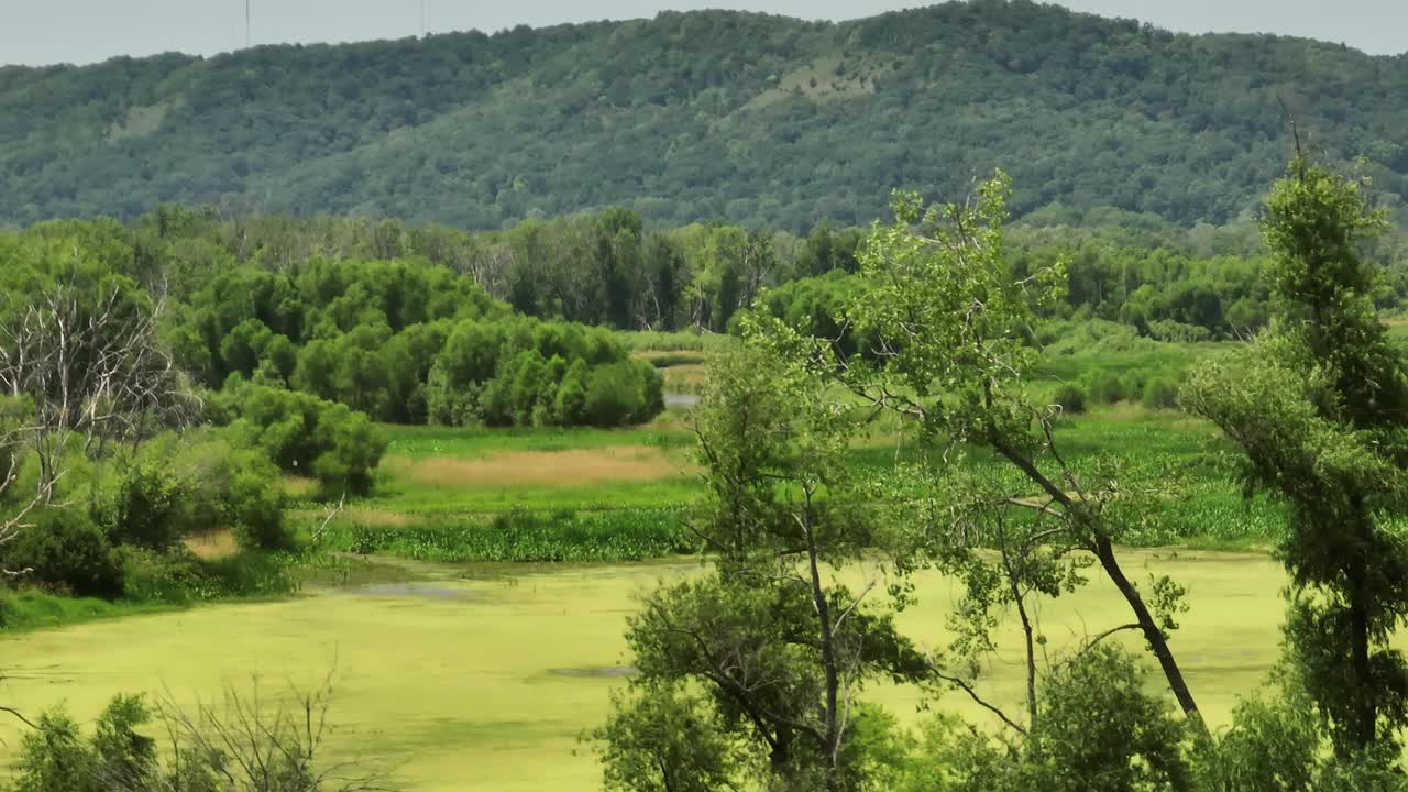 以青山为背景的Trempealeau国家野生动物保护区。-天线宽度视频素材