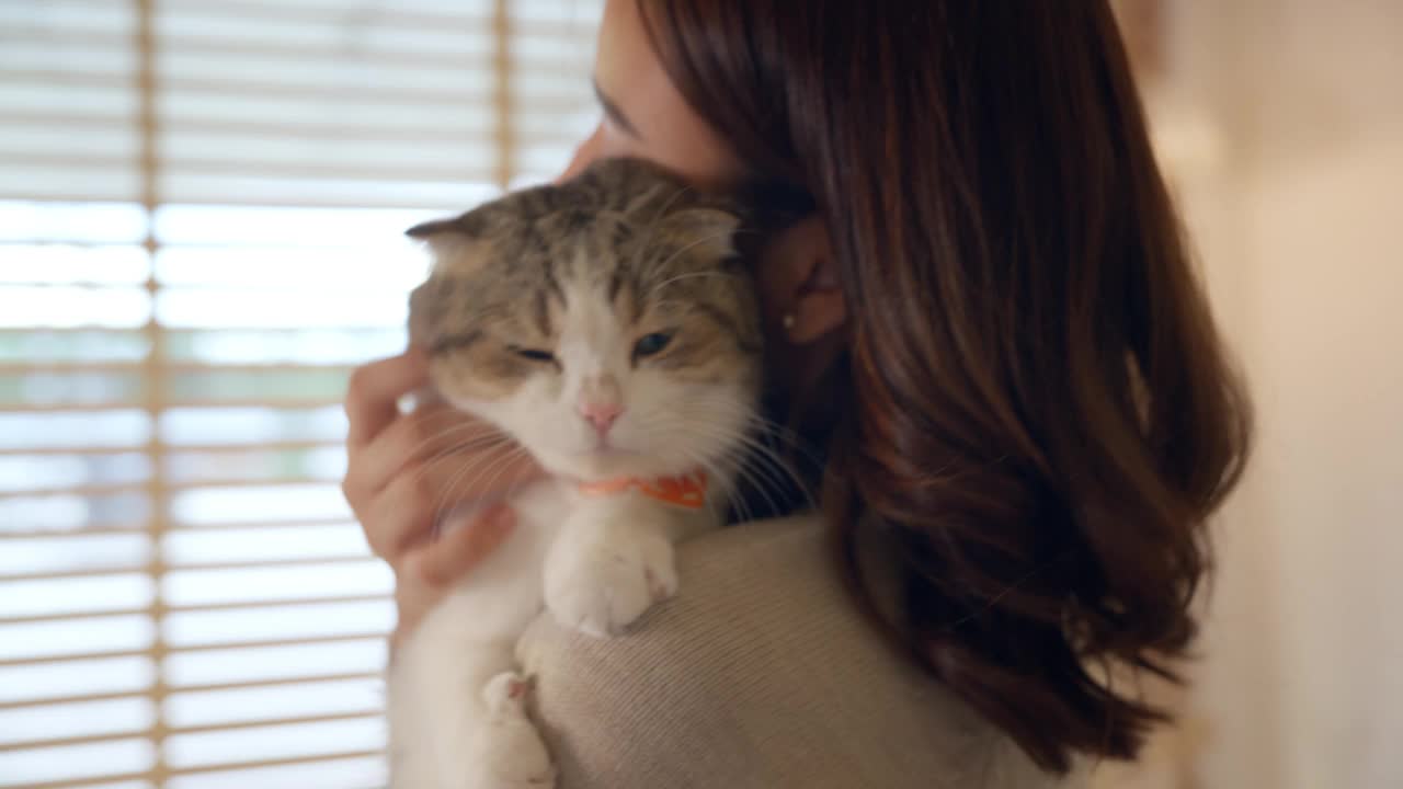 花点时间照顾小猫，和它一起玩，不要忽视它。视频素材